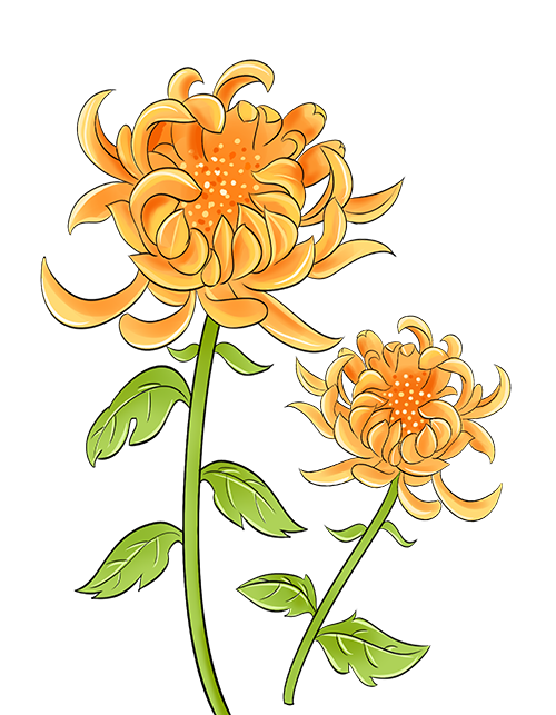 1702348550433913.png 1.png
