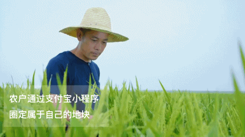 1702349755979162.gif 4.gif